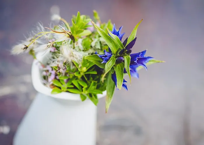 Fuerthermoar Hideaways Kaprun